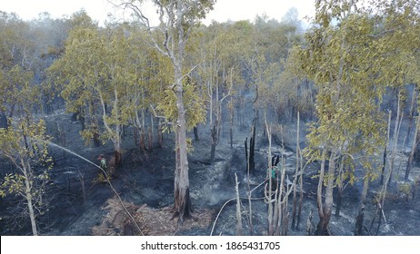 Burning Peat Land Area At National Park