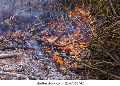 A Burning Pile Of Tiny Branches Blowing In The Wind With Visible Burnt And Unburned Branches And Embers.