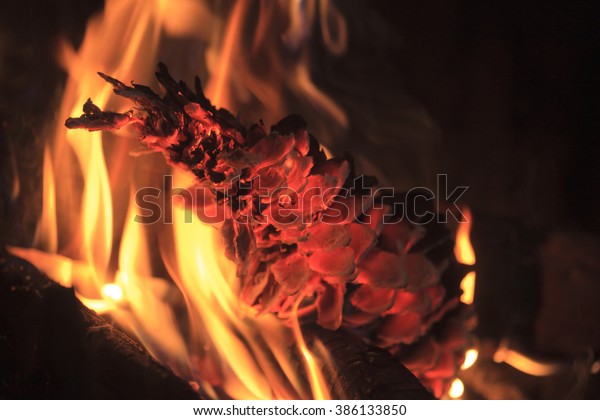 Burning Pine Cone Glowing Fireplace Stock Image Download Now