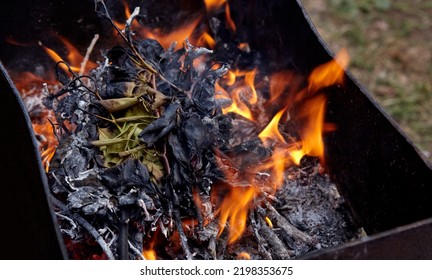 Burning Red Hot Sparks Fly From Fire. Barbecue Gril With Glowing And Flaming Hot Charcoal And Firewood