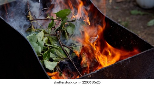 Burning Red Hot Sparks Fly From Fire. Barbecue Gril With Glowing And Flaming Hot Charcoal And Firewood