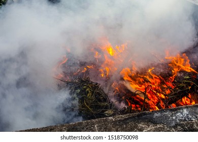 burning small woods in cement oven, soft focus with fire and smoke.