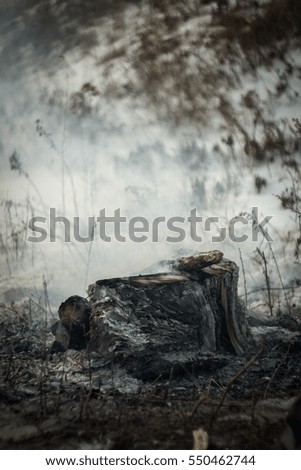 Similar – Image, Stock Photo Stranded I Environment