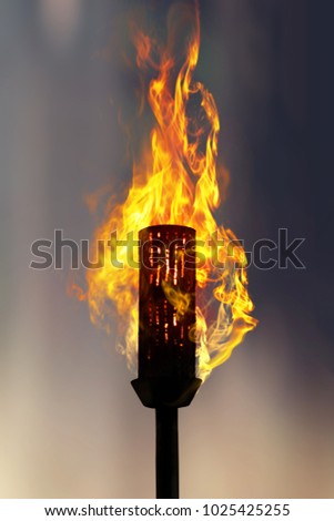 burning torch at night, close up