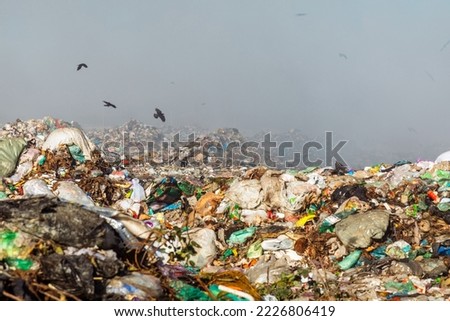 Burning trash piles in landfill with flying crows over the site