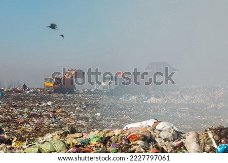 Burning trash piles in landfill with garbage truck in the background and flying crows over the site. People recycling trash