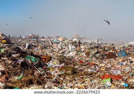 Burning trash piles in landfill with people recycling trash and flying crows over the site