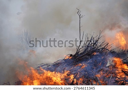 Burning Tree Branches, Clouds of Smoke and Festive Easter Fire. Holy Saturday in Germany, 