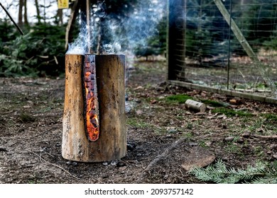 A Burning Tree Trunk With Embers And Smoke In The Forest. It Is Autumn Time.

