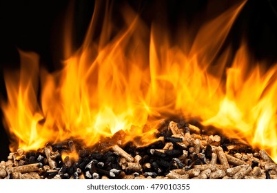 Burning Wood Pellet With Flame