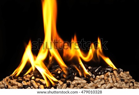 burning wood pellet with flame