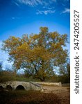 Burnside Bridge, Antietam Battlefield, Sharpsburg, Maryland