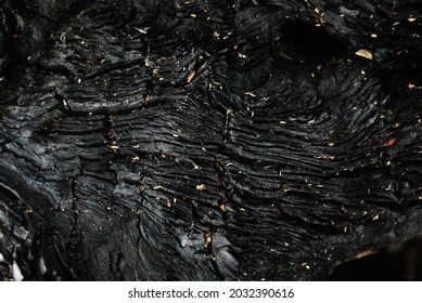 Burnt Black Wood Texture. Closeup