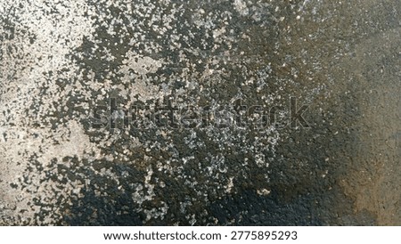 the burnt bottom of the pan 