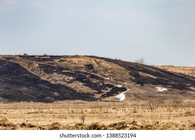 burnt grass on the mountain in spring - Powered by Shutterstock