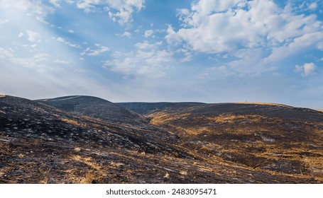 Burnt landscape with charred hills and valleys under a partly cloudy sky, illustrating the aftermath of California wildfires and the impact of climate change. - Powered by Shutterstock