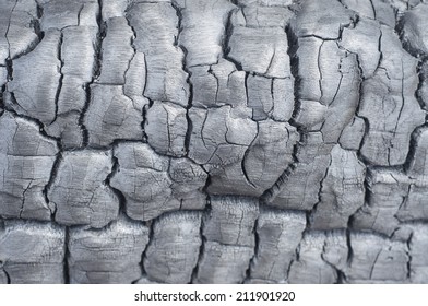 Burnt Log Pattern