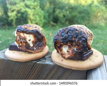 Burnt Marshmallow. S’mores With Dark Chocolate, Graham Cracker, And Toasted Marshmallows.