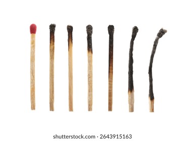 Burnt matches and whole one on white background