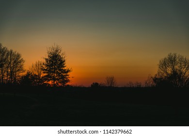 Burnt Orange Sunset With Silhouette Trees In Foreground