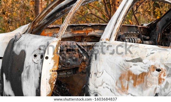 Burnt out car. Burnt passenger car near the city\
by the forest. Burnt door and car interior ,Close up. Rusty, steel\
case and wheels. The concept of a traffic accident and vandalism or\
crime.