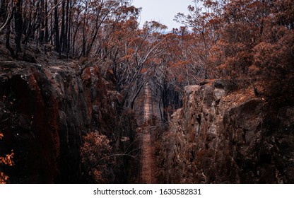 Burnt Out Train Tracks Going Into The Burnt Bush After The Australian Bushfires Of 2019 And 2020. Location Is Hill Top In New South Wales.