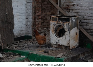 Burnt Out Washing Machine And Chicken