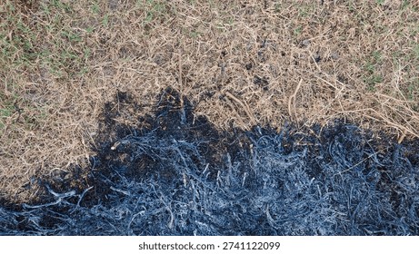Burnt patch of grass lies below dry unburned grass