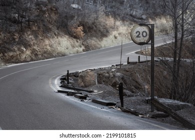 Burnt Road Sign After Wildfire In The Forest - Bush Fire Damage