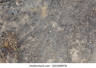 Burnt Scorched Earth Texture After A Campfire