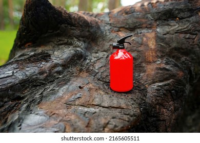 Burnt Tree Stump With A Miniature Red Fire Extinguisher Outdoors. Wildfire Safety Precautions Concept.