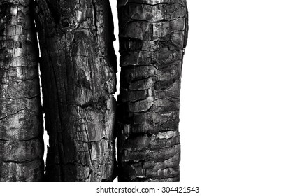 Burnt Wood Isolated On White Background