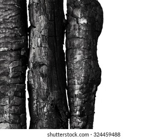 Burnt Wood Isolated On White Background