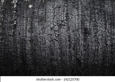 Burnt Wood Texture