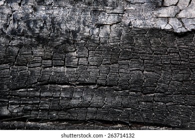 Burnt Wood Texture Stock Photo 263714132 | Shutterstock