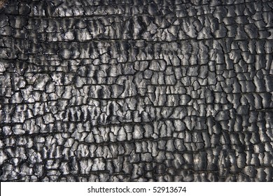 Burnt Wood Texture