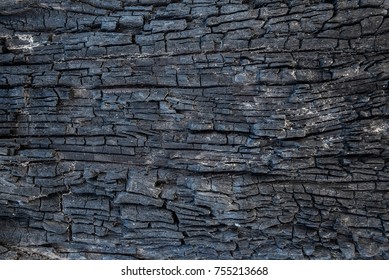 Burnt Wood Texture