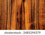 Burnt wood texture, charred brown timber background.