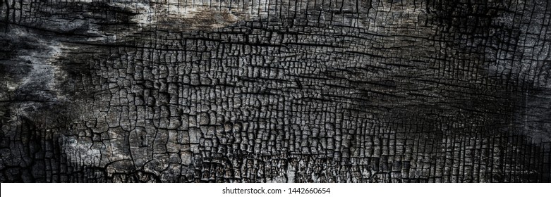 Burnt wooden Board texture  Burned scratched hardwood surface  Smoking wood plank background  banner