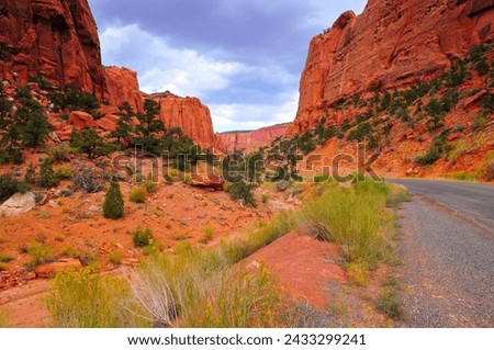 The Burr Trail scenic road winding through the red rock walls of Long Canyon, Grand Staircase-Escalante National Monument, Utah, USA.