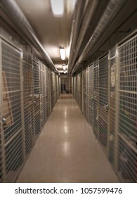 Burred Of Storage Room Basement