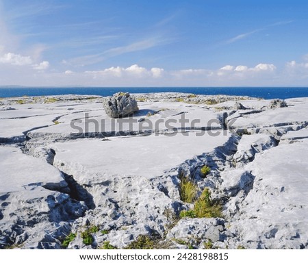 The burren, limestone rock, county clare, munster, republic of ireland (eire), europe
