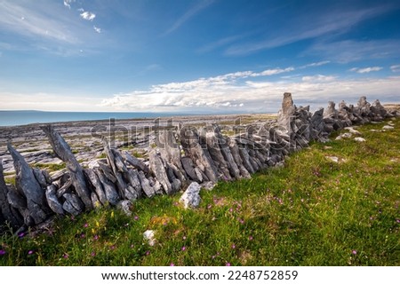 The Burren's limestone stone wall