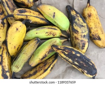 Burro Banana Plantain