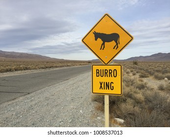 Burro Crossing In The Middle Of Nowhere