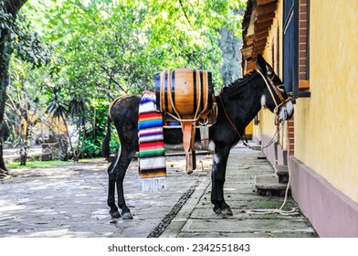 Un burro, cargado de barril y vestido con una vibrante sarna, se alza atado a una casa tradicional mexicana, evocando un sentido de encanto rústico
