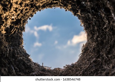 Burrow with the view from the hole towards the sky as a special symbol for planting, mouse hole or molehill
