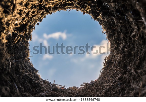 Burrow with the view\
from the hole towards the sky as a special symbol for planting,\
mouse hole or molehill