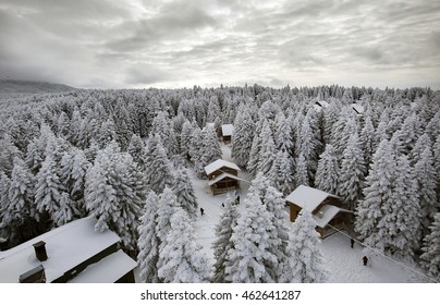 Bursa, Uludag And Chalets Winter Images.