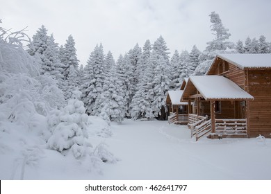 Bursa, Uludag And Chalets Winter Images.